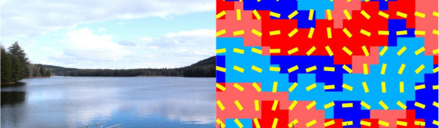 The Visual World & The Brain The Visual World & The Brain