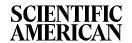 Scientific American Logo